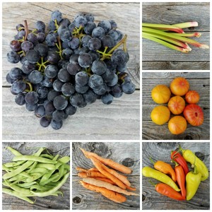 Shenandoah Produce LLC