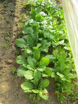 Deutsch Farm