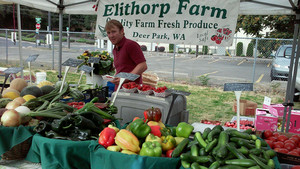 Elithorp Farm