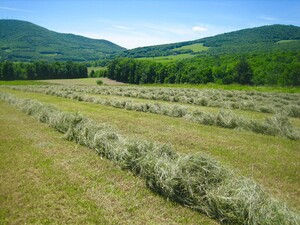 Willowview Hill Farm