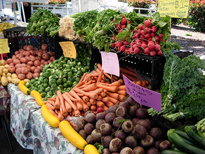 Falmouth Farmers Market - LocalHarvest