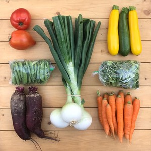 Chain Reaction Urban Farm