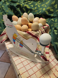 Eggs by Shannon