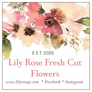 Lily Rose Fresh Cut Flowers