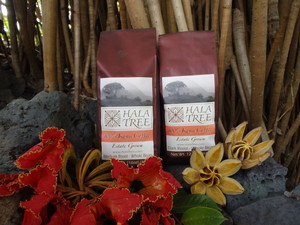 Hala Tree