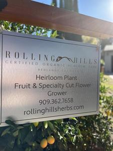 Rolling Hills Herbs & Annuals