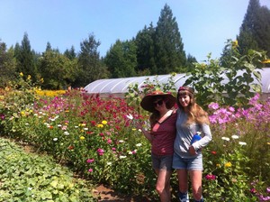 Fawn Lily Farm