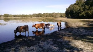 Produced on the Farm