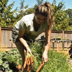SunCatcher Farms