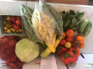 Raccoon Ridge Farm