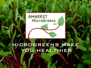 Amherst MicroGreens
