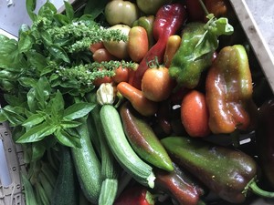 The Farmers Table at Girlfarm