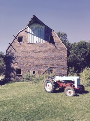 16 Hands Family Farm