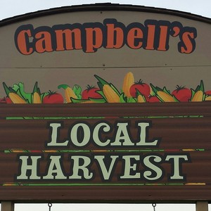 Campbells Local Harvest