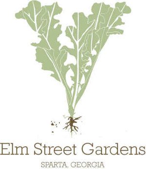 Elm Street Gardens