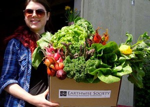 Earthwise Society