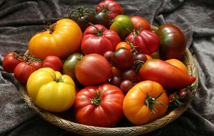 Organic Harmony Farms