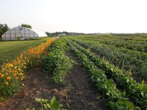 Blue Gate Farm
