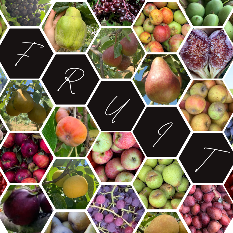 Home Orchard Education Center LocalHarvest