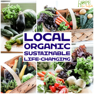 Hope for Suffolk CSA/Farm Share
