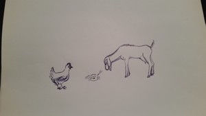 Crabby Goat Farm