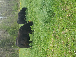 Prairie Trail Farm
