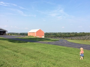 Dillon Fruit Farm