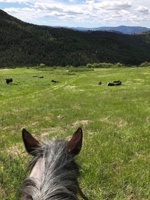 Kettle Bar Ranch