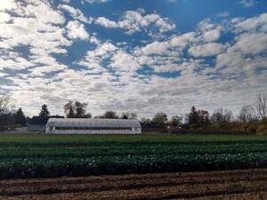 Patchwork Gardens
