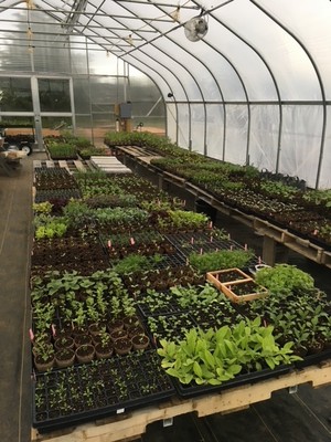 Herricks Herbs & Heirlooms