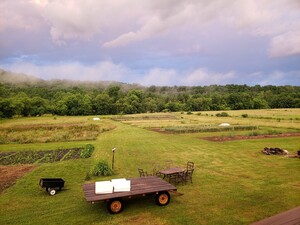 Free Flow Farm- Food, Flowers and Fabrics