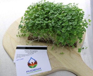 Phoenix Microgreens
