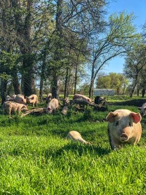Rehoboth Ranch
