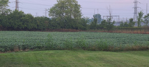 Davis Farm dba Jelly Lady