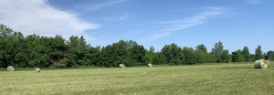 Vanat Family Farm