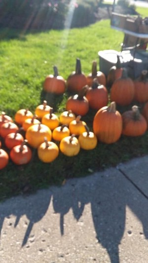 Streator Farmers Market