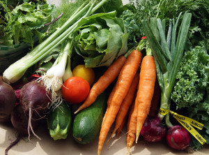 Shared Ground Farmers' Cooperative