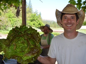 Tolstoy Farms