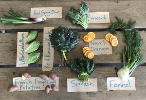 Riverdog Farm