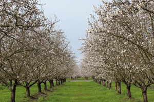 Briden Wilson Farm