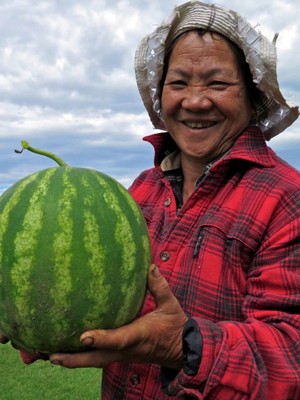 Hmong American Farmers Association
