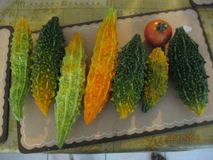 K & P Farms