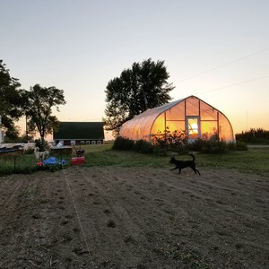 Down River Farm