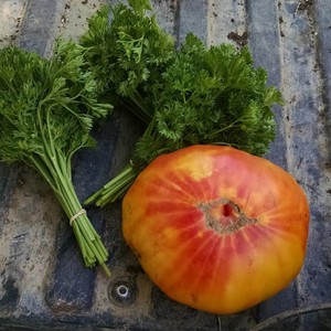 Crooked Row Farm