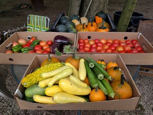 Maple Corners Farm