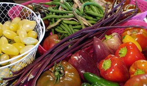 Sandy Glen Farm & Forage