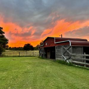 Favors Farms