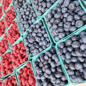 North Branch Farmers Market
