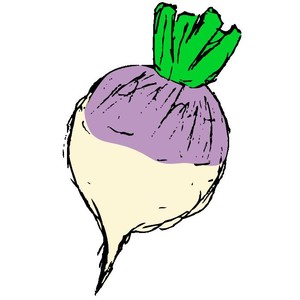 Wise Acres Farm