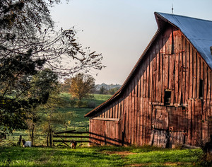 Twelve Springs Farm